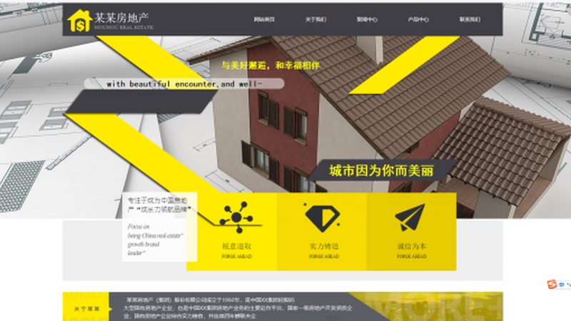 网站维护安全规范模板：构建安全网站的必备要素